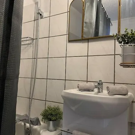 Le Joy, Centre Mulhouse